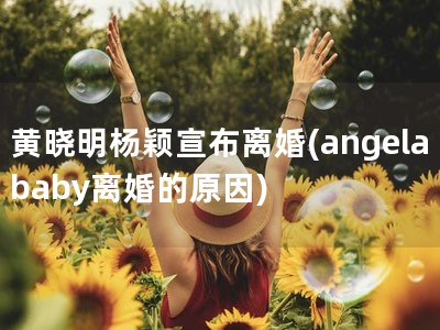 黄晓明杨颖宣布离婚(angelababy离婚的原因)