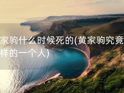 黄家驹什么时候死的(黄家驹究竟是怎样的一个人)