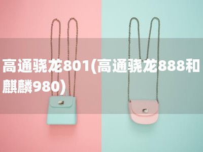 高通骁龙801(高通骁龙888和麒麟980)