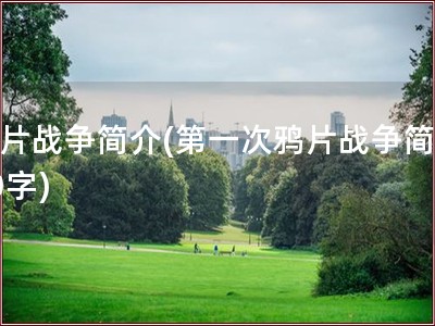 鸦片战争简介(第一次鸦片战争简介50字)