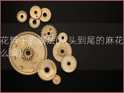 麻花辫子的编法(从头到尾的麻花辫怎么编)